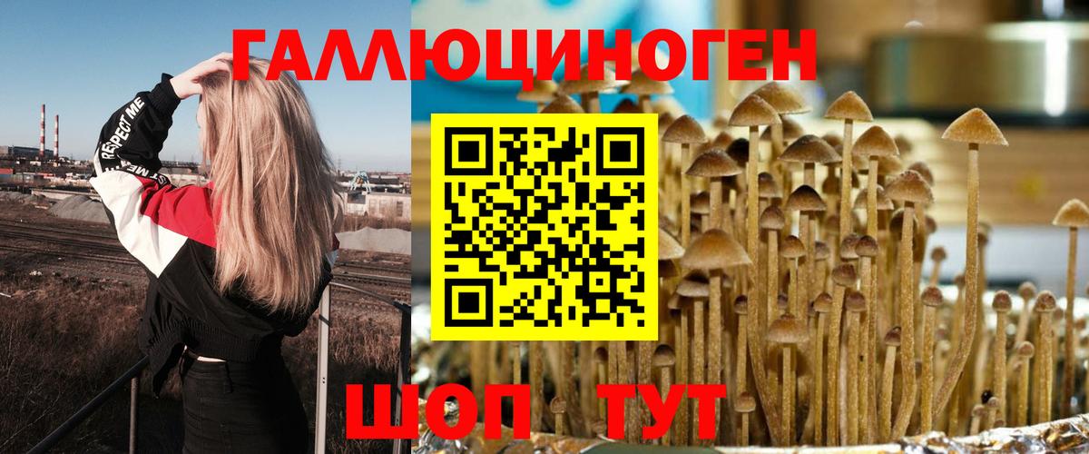 Псилоцибиновые грибы мицелий Малгобек