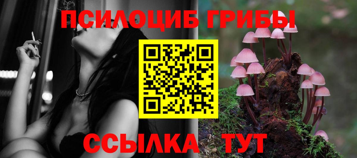Псилоцибиновые грибы Psilocybe  Вход с VPN  Малгобек 