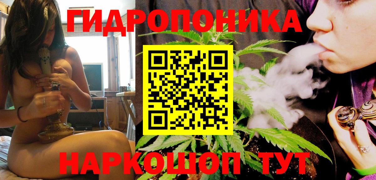 Канабис индика Малгобек